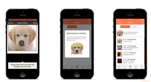 Finding Rover is a must-have app for people who want to start by finding a lost pet